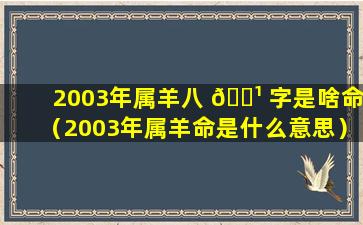 2003年属羊八 🌹 字是啥命（2003年属羊命是什么意思）